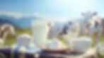 Dairy Products Outdoors