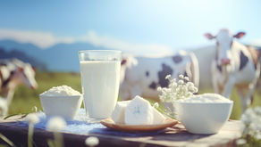 Importações e exportações aumentam em outubro