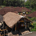 Traditional Village
