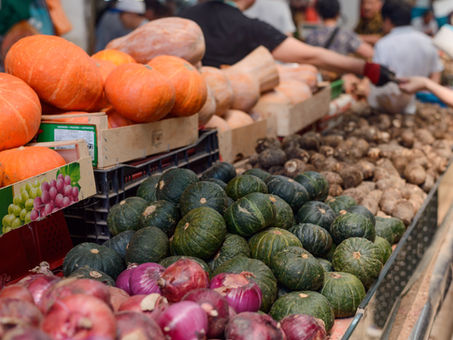 タイトル:ファニーピー愛犬KARADA研究所へようこそ