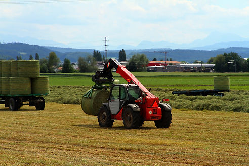 Telescopic handler unloads bales of hay in the field