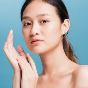 Face Model