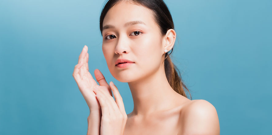 Face Model