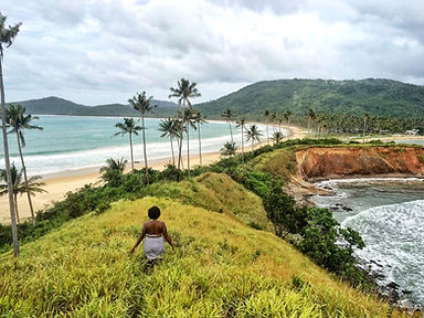 Beautiful Nature
