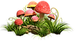 champignon