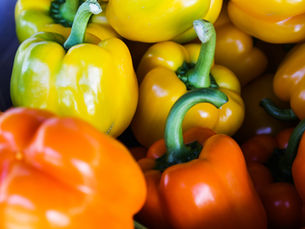 How Ozonated Fertigation Improves Crop Growth in Greenhouse Agriculture