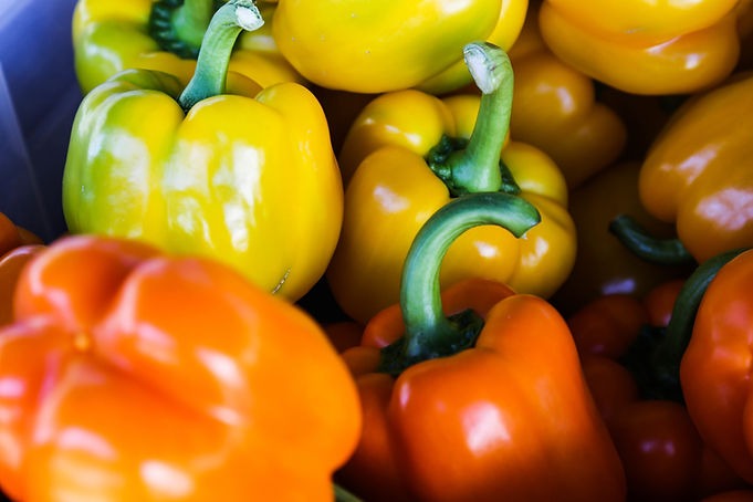 Colorful Bell Peppers