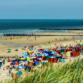 Wealth and Wisdom: Week of July 15, 2024