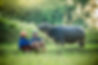 vietnam private tours
