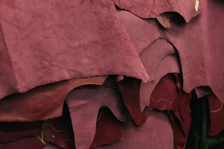 Pieces of Leather