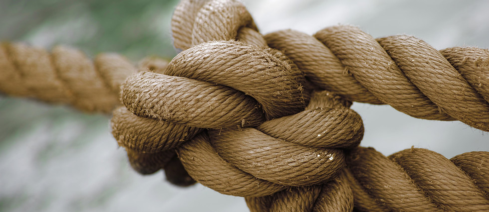 Close-Up Of Knot