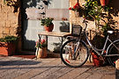 Flowers and Bicycle