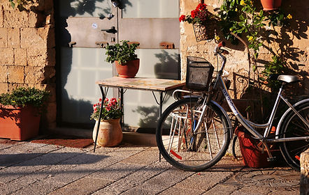 Blumen und Fahrrad