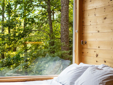 What Are the Benefits of Green Cleaning for Asheville Homes?
