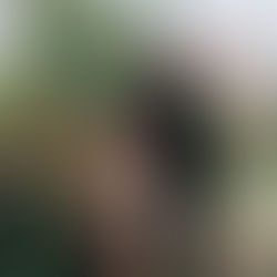 ABC İLE EV ZİYARETİ