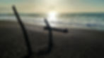 Beach Driftwood Shadows