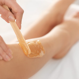 Wax Appointment