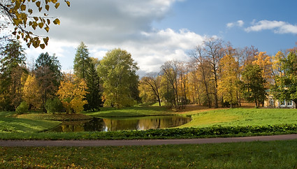 Autumn Park Scene