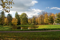 Autumn Park Scene