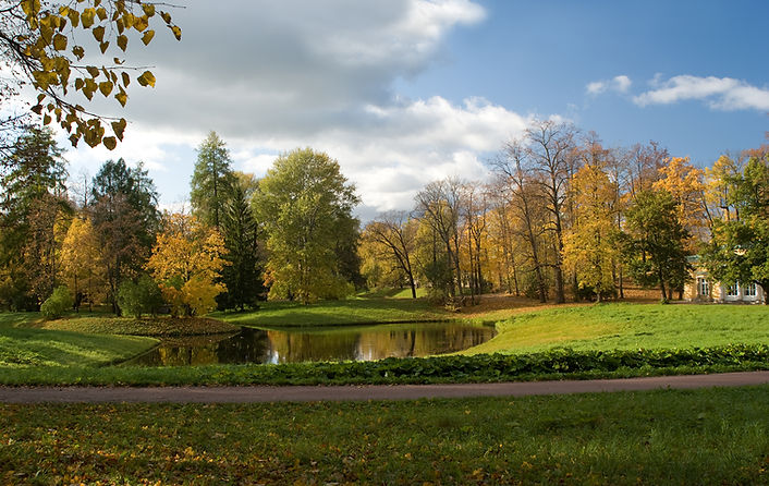 Autumn Park Scene