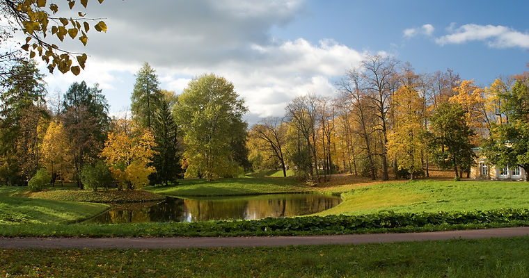 Autumn Park Scene
