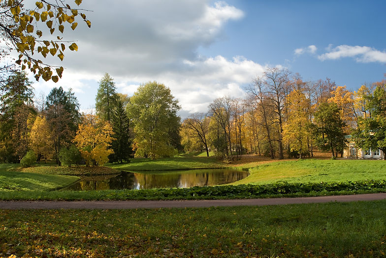 Autumn Park Scene