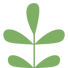 Minimalist Green Leaf Illustration