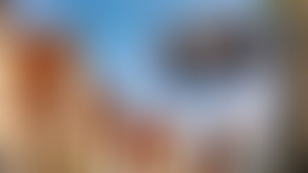 Zwischen Bewahren und Verändern – Die psychologische Ambivalenz des Konservatismus