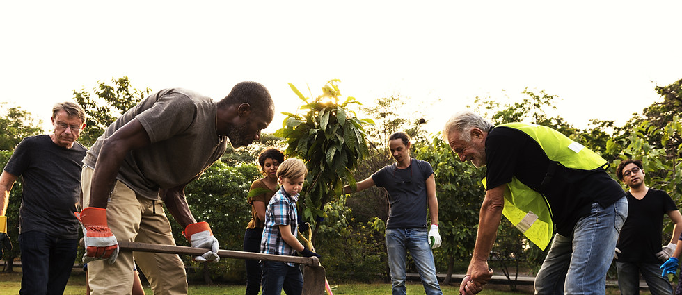 Group Planting a Tree