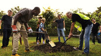 Community Ranger (Nature) job opportunity with Octopus Community Network in Islington, supporting tree trails, pollinator pathways and community nature projects.