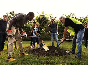 Group Planting a Tree