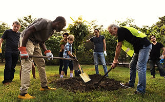 Group Planting a Tree
