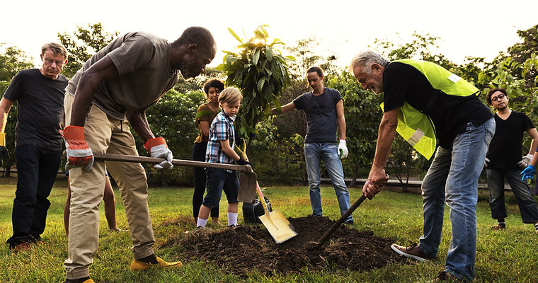 Group Planting a Tree