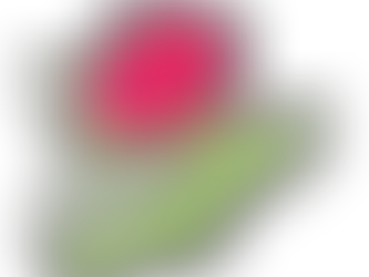 独り言：継続したいときはタイミングが大切！