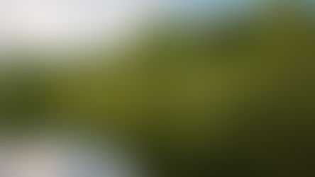R$ 27 milhões vindos de concessões florestais federais chegam a estados e municípios da Amazônia