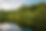 Woods on Water