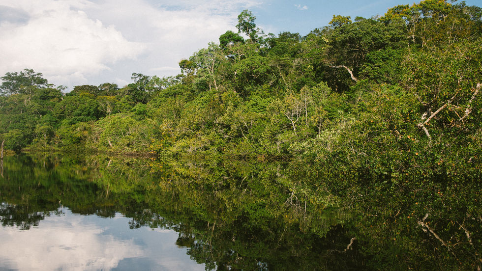 R$ 27 milhões vindos de concessões florestais federais chegam a estados e municípios da Amazônia
