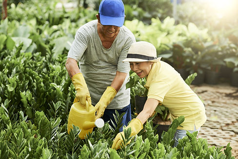 快樂的亞洲老夫婦園藝