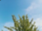 Blue Sky