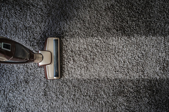 A vacuum cleaner head runs over a plush, grey carpet