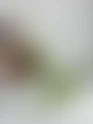 Grænn drykkur fyrir alla