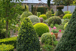 Topiary and pots in a section of this beautiful garden