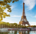Eiffel Tower View