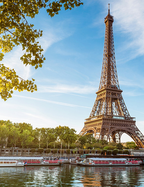 Eiffel Tower View