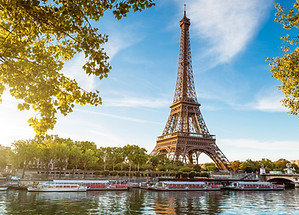 Eiffel Tower View