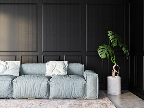 Sofa with Black Wooden Panel