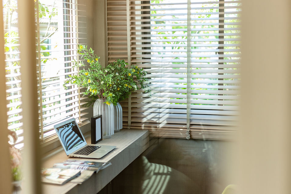 White bespoke plantation window shutters behind green indoor house plants