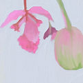 Pintura abstracta de flores rosas