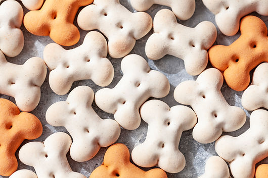 Closeup of Dog Treats