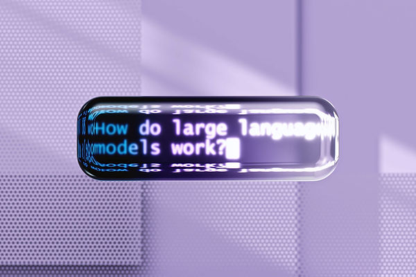 Digital Query Capsule